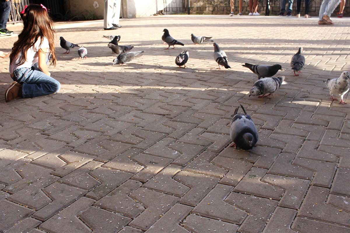 On the Grid : Parque de las Palomas