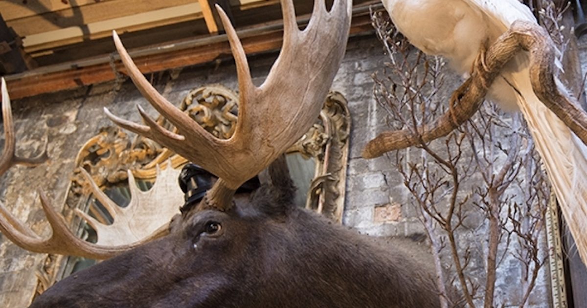 On the Grid Seasonal Concepts