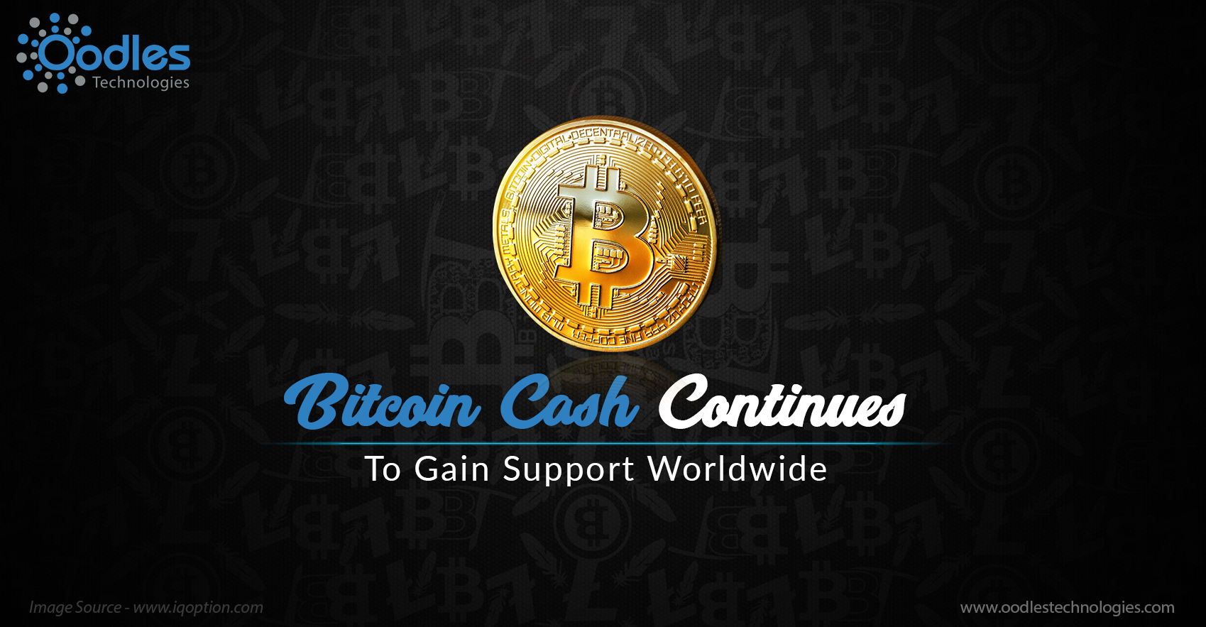 Bitcoin Cash Grows