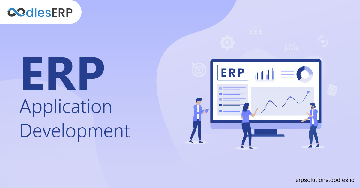 erp application development