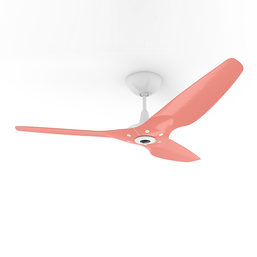 Oomph For Haiku Fan Tucson Coral