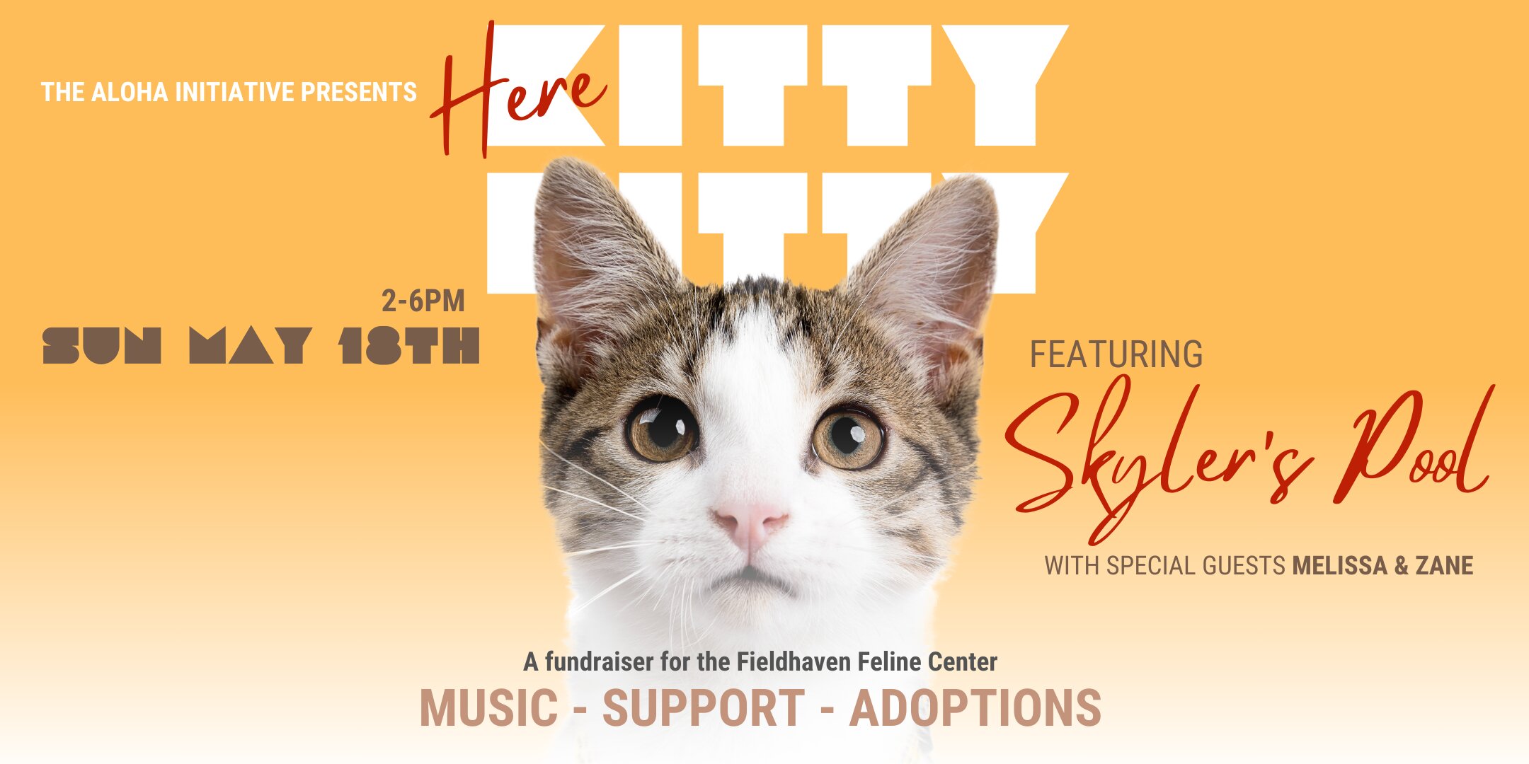 Here Kitty Kitty - A Fundraiser for the FieldHaven Feline Center