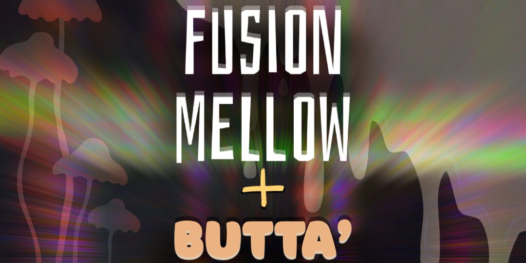 Promotional image for Fusion Mellow & Butta