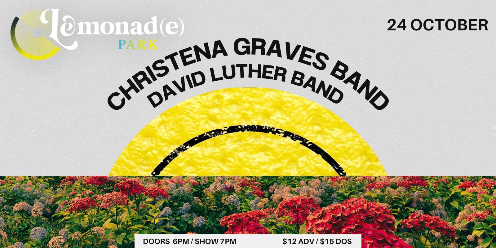 Christena Graves Band, David Luther Band