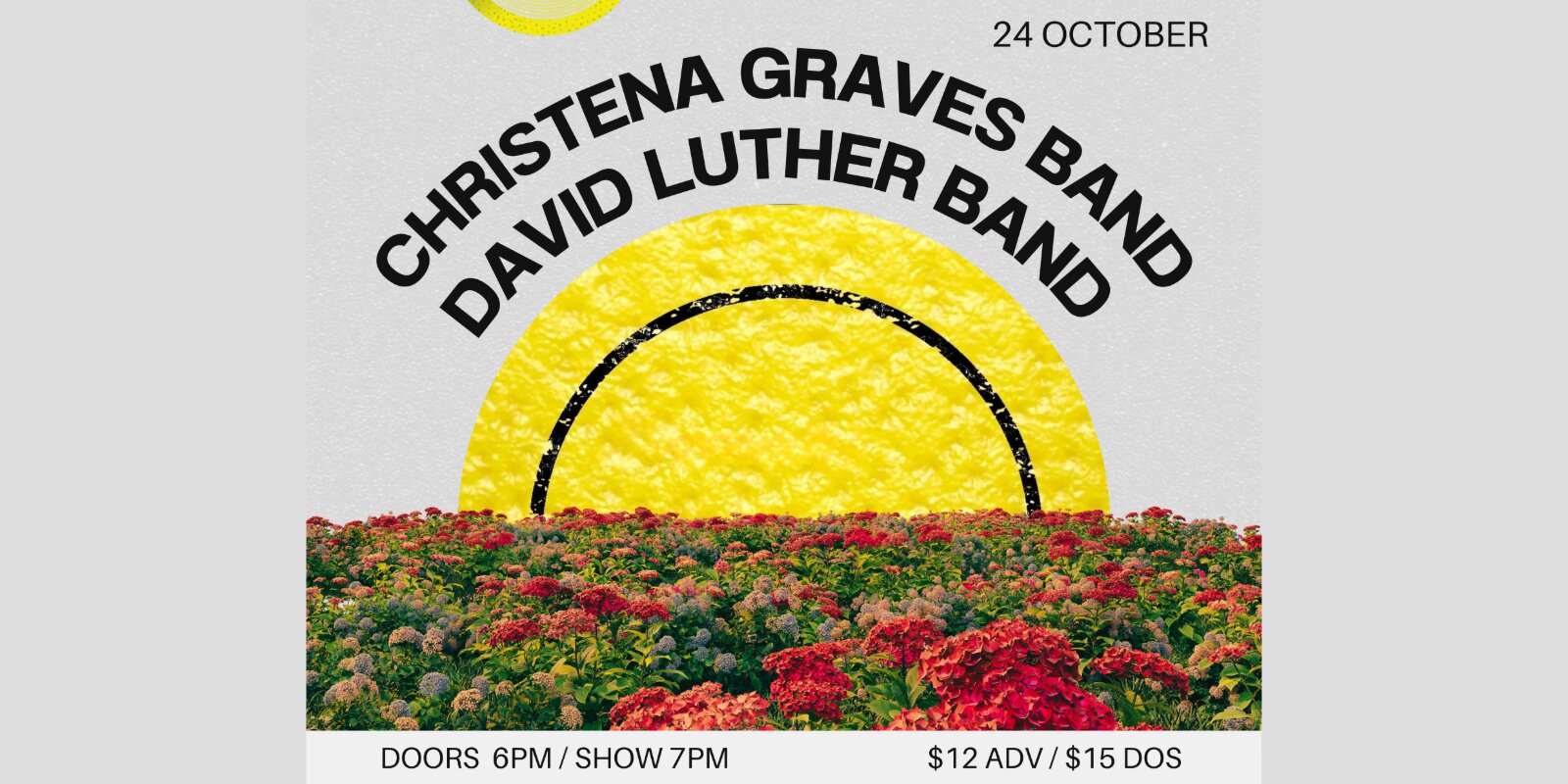 Christena Graves Band, David Luther Band