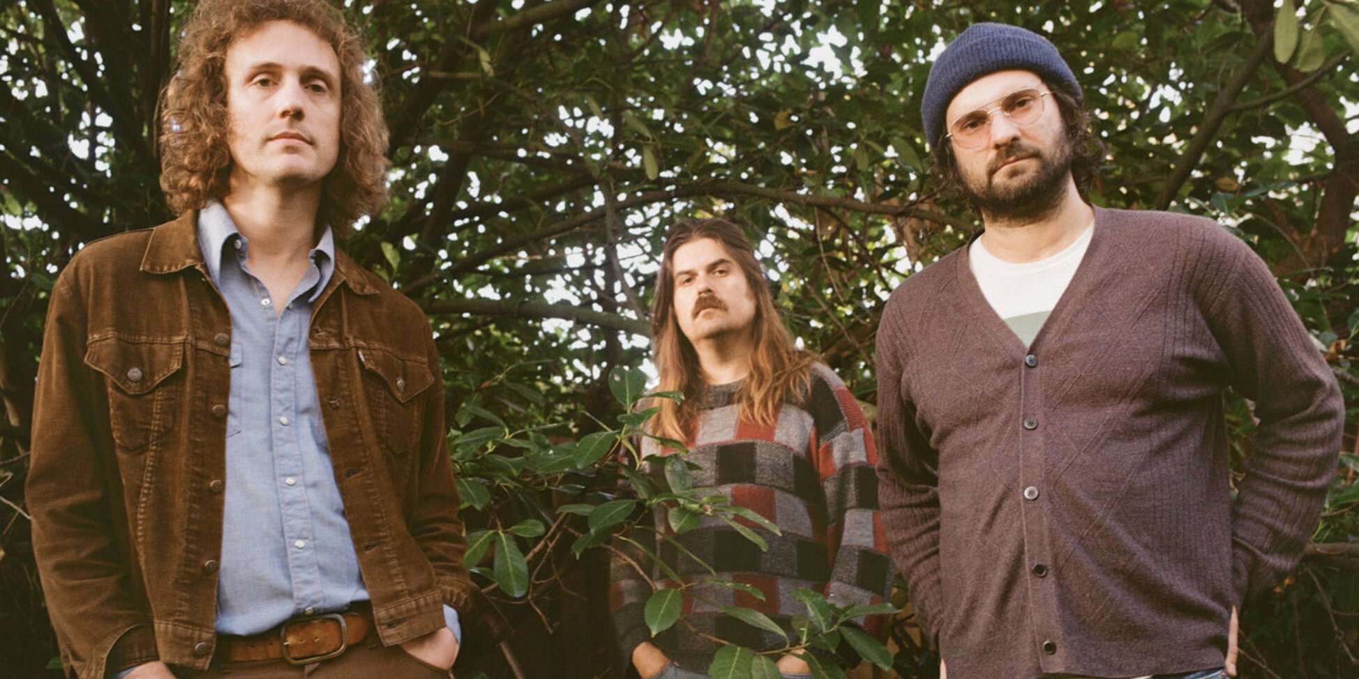 Promotional image for Triptides 