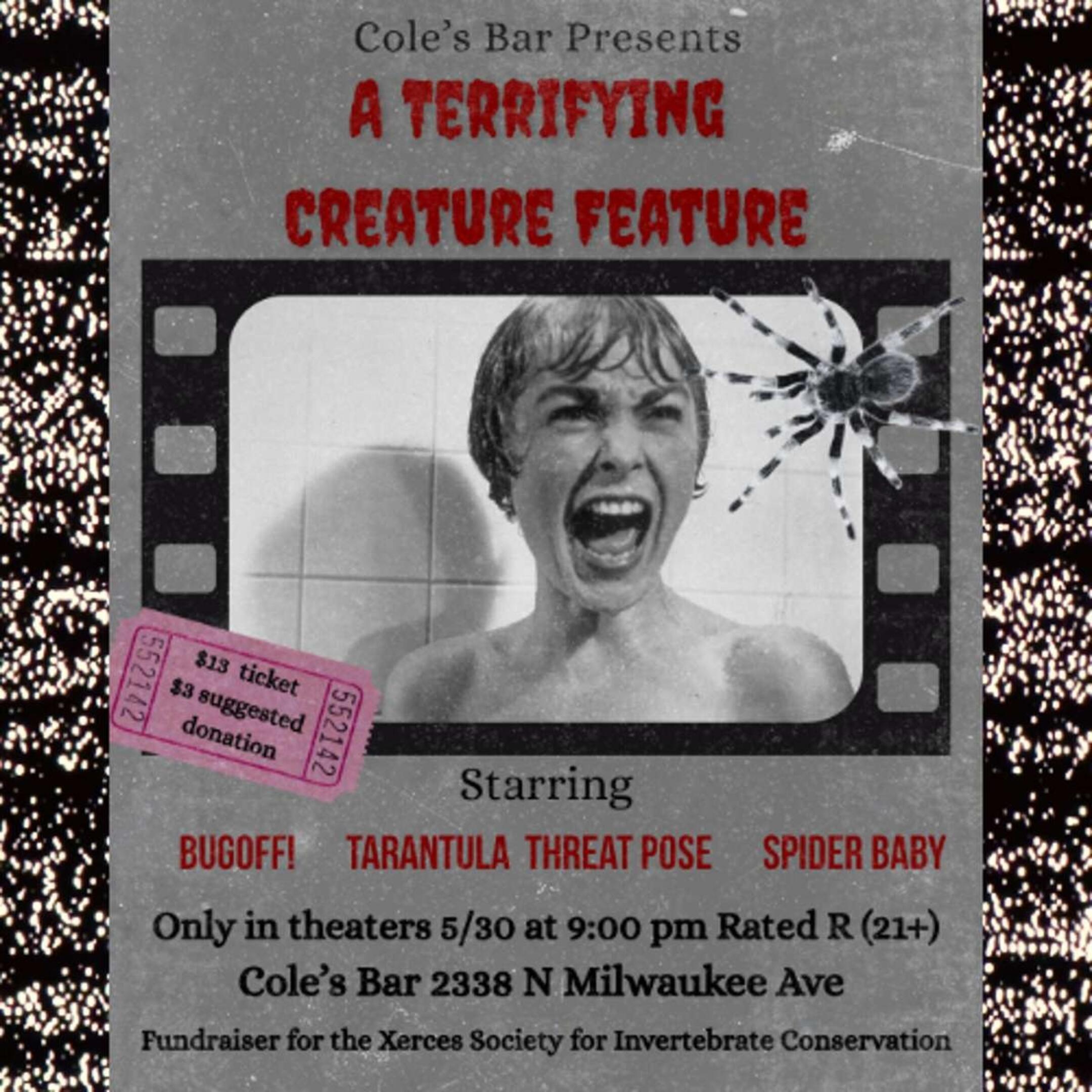 Spider Baby, Tarantula Threat Pose, Bugoff