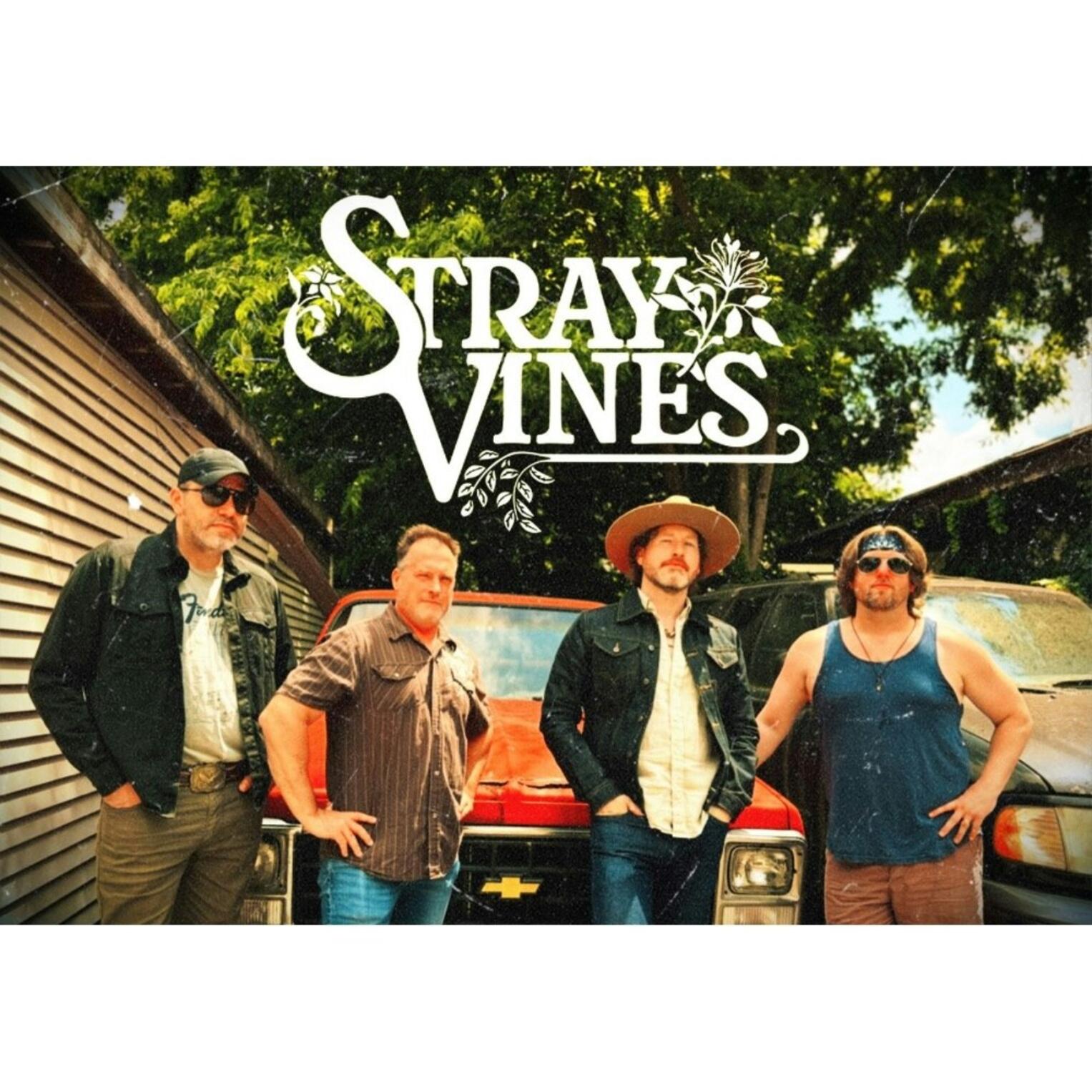 Stray Vines, The Transference, Kenny P Mitchell and the Last Chance @ Robert’s Westside