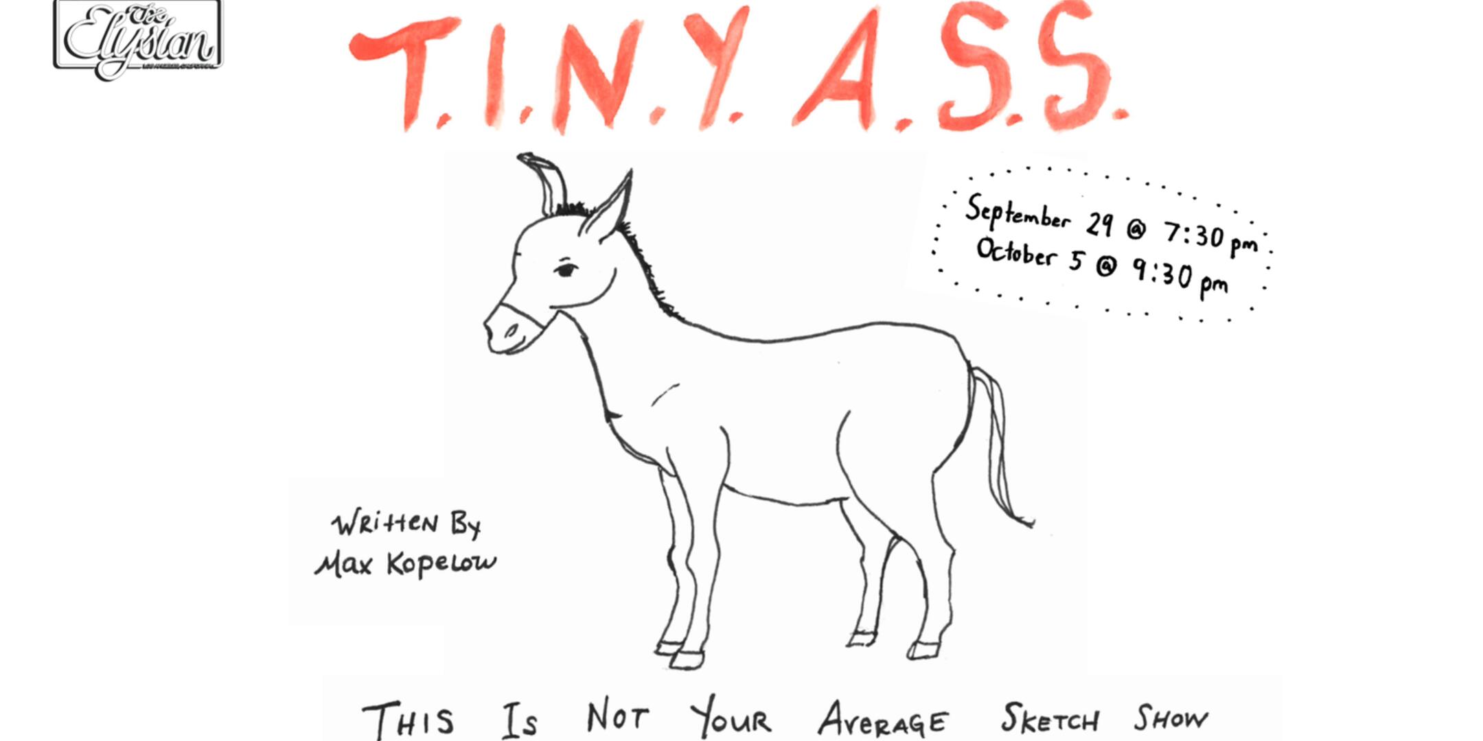 Poster for T.I.N.Y.A.S.S. (This Is Not Your Average Sketch Show)