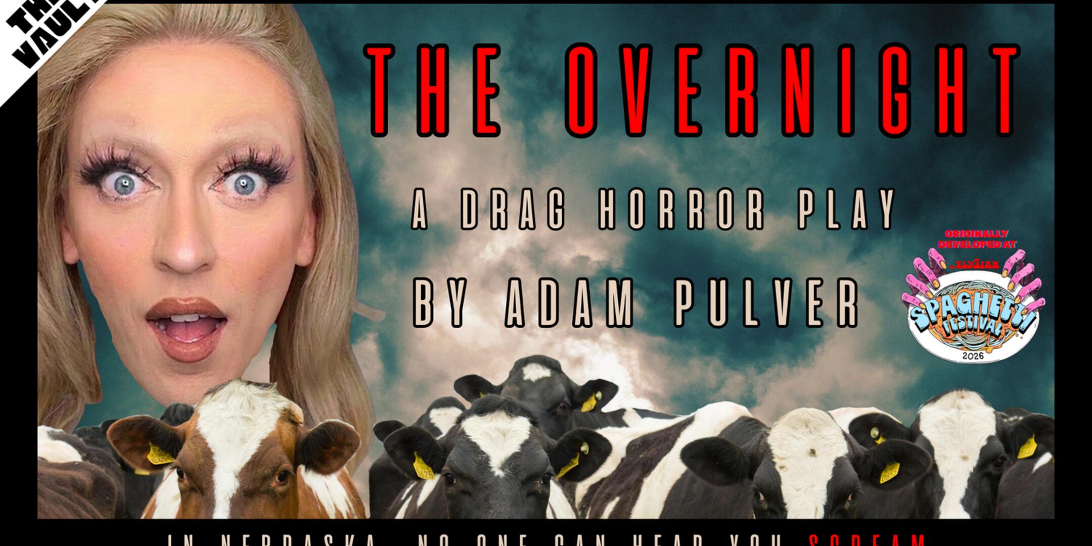 Poster for The Overnight