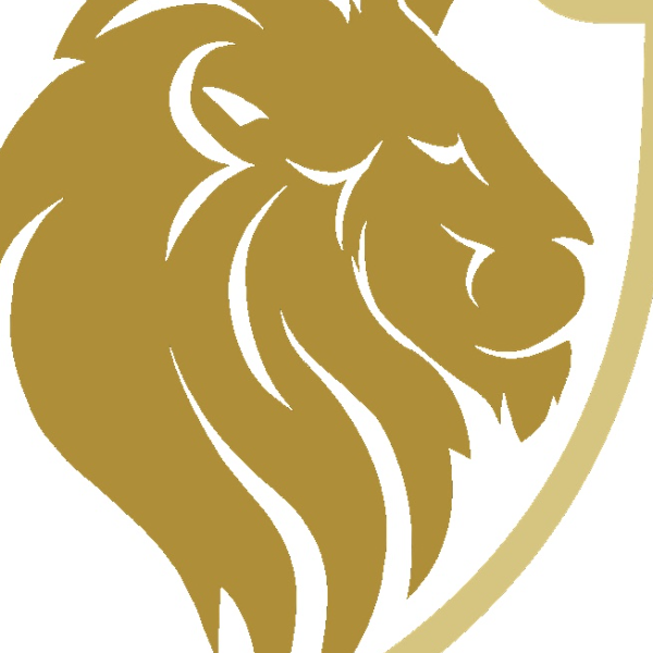 SATSOCCER PRO TRAINING