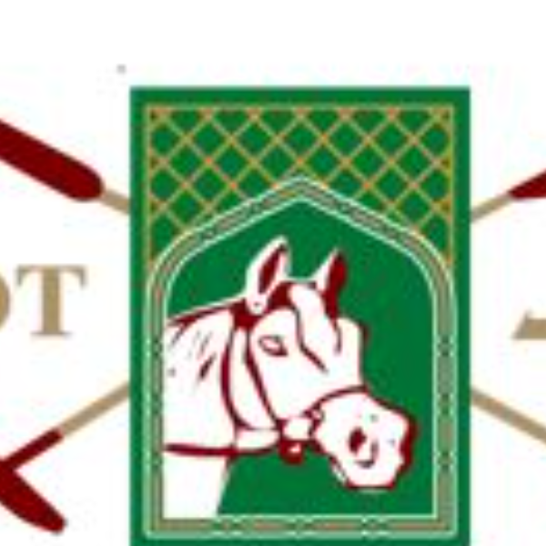 HH President of UAE Polo Cup