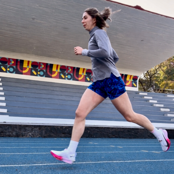 Lilia Araceli del Carmen Guinea Dominguez