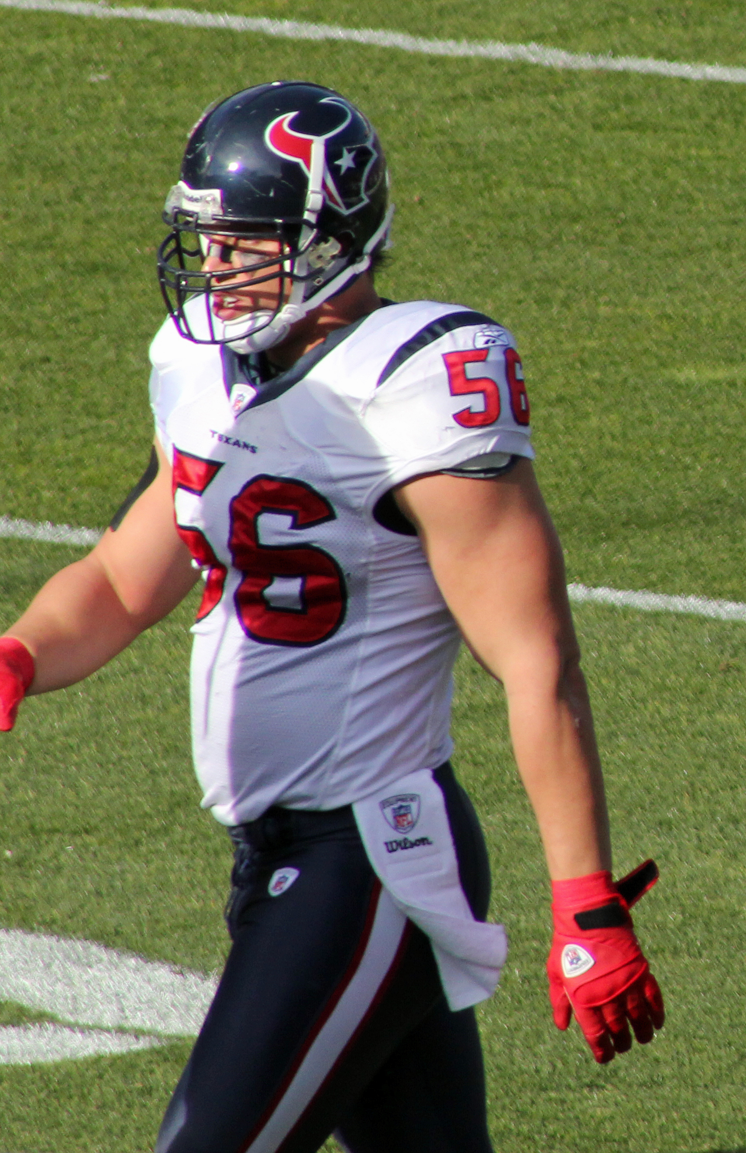 Brian Cushing