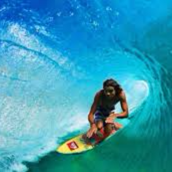 Craig Anderson
