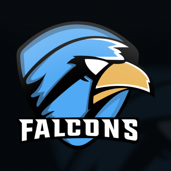 ToxicFalcons eSports