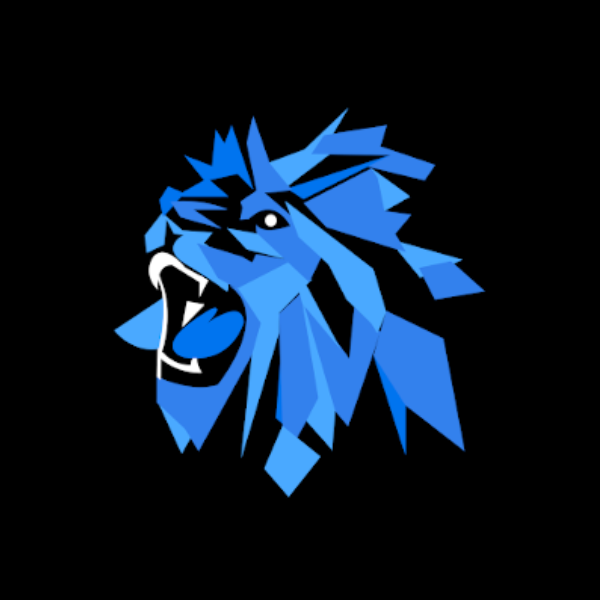 Blocksport LionZ