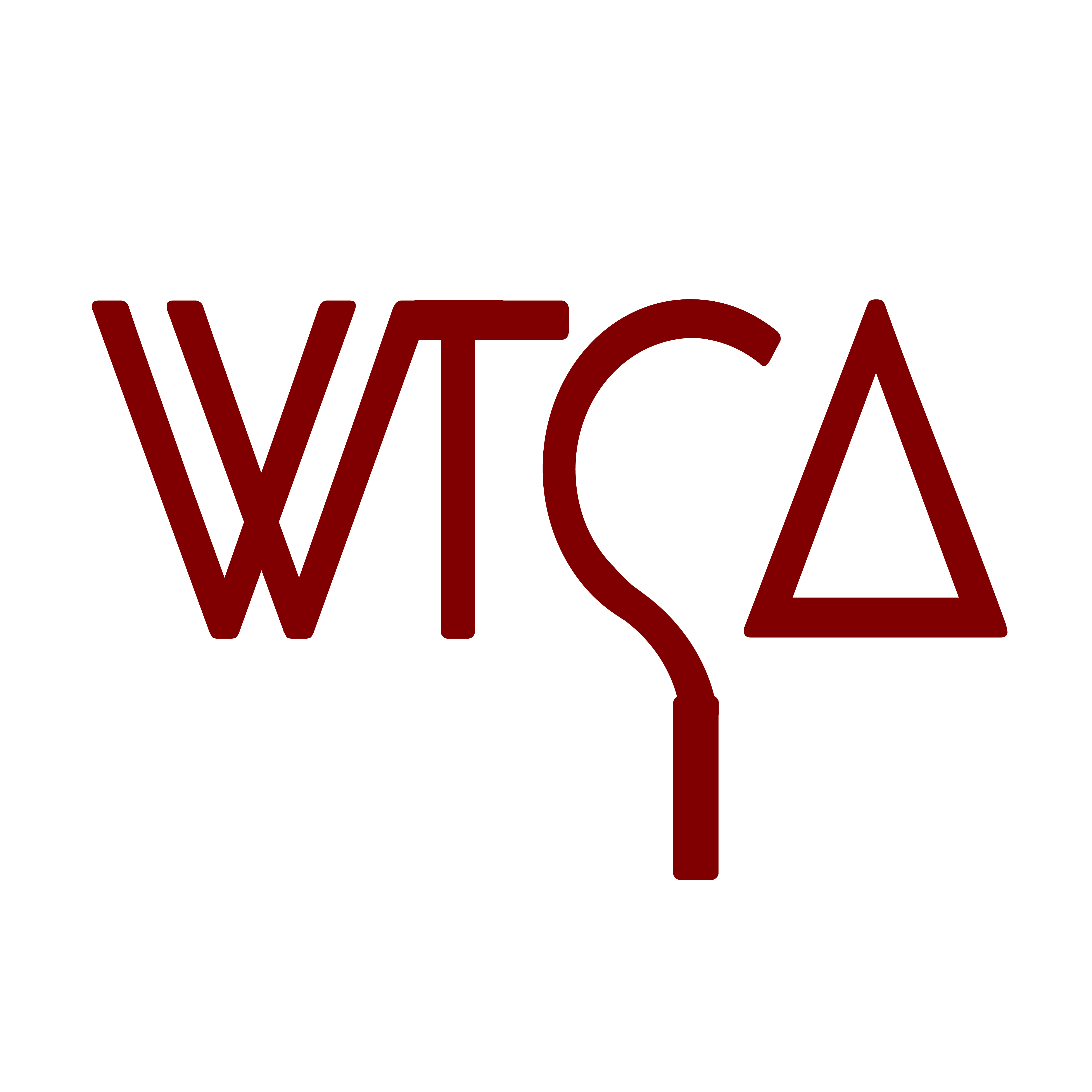 WTCA - Pro Tour team