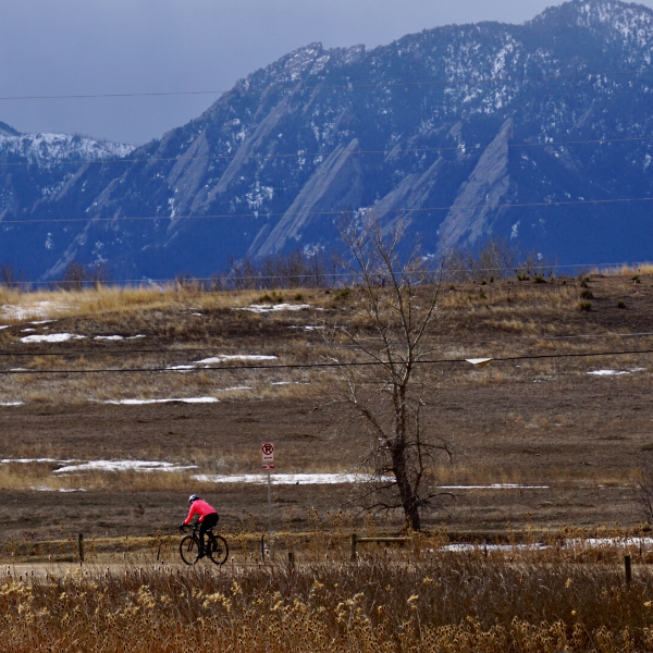 Without Limits Productions