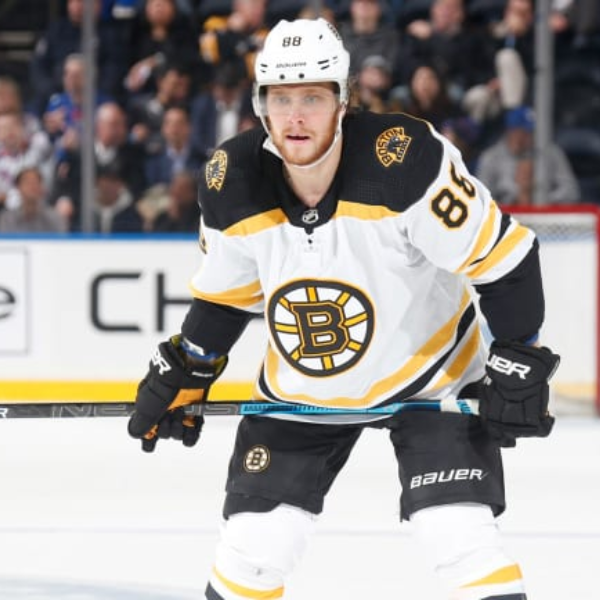 David Pastrnak