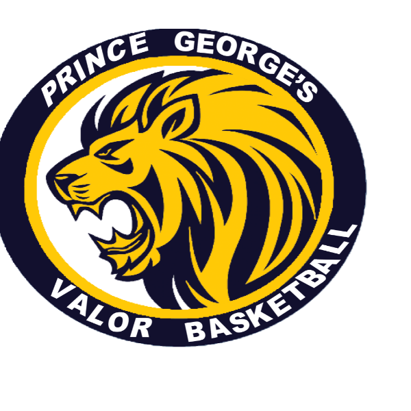 PG Valor Basketball Team