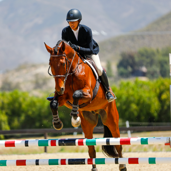 Kori K. Nakabayashi Harlan