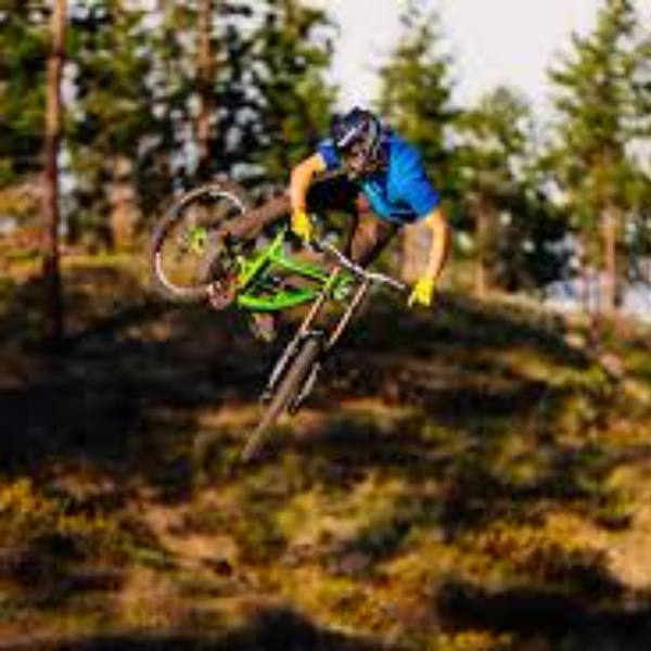 Bas Van SteenBergen