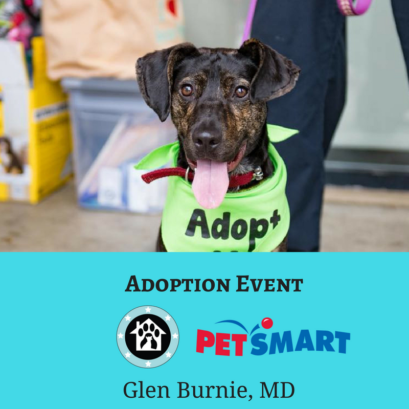 Operation Paws for Homes Events