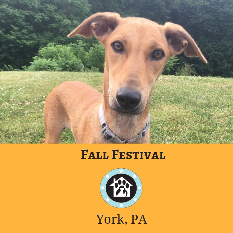 Sep 15 Shiloh Veterinary Hospital Fall Festival York, PA Sept. 15
