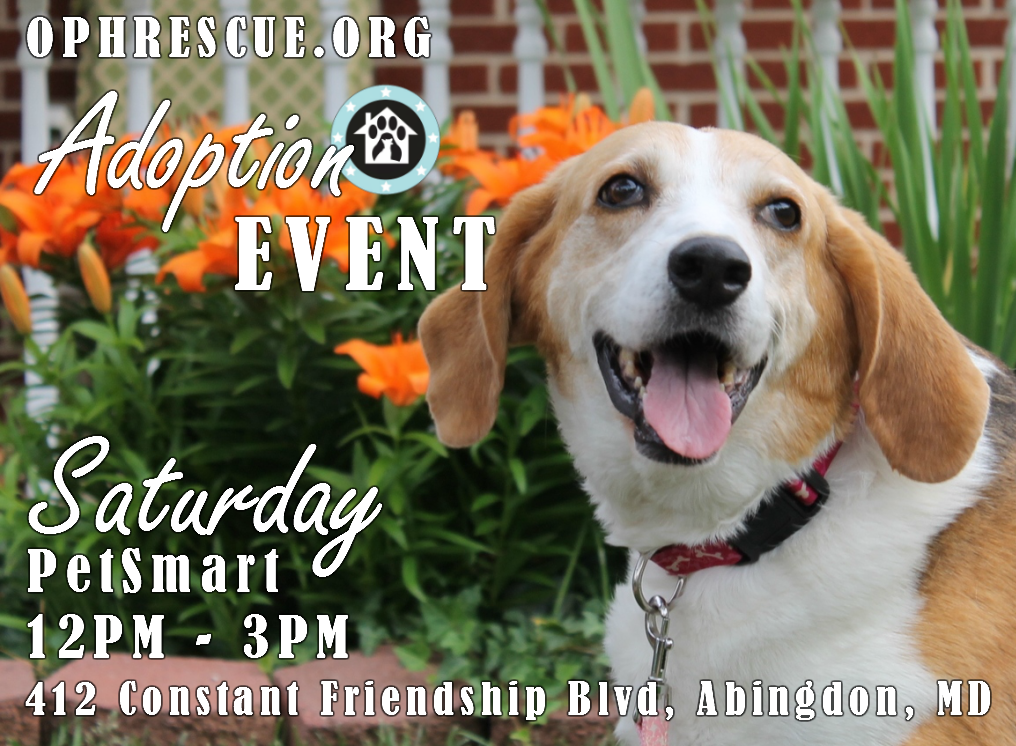 Operation Paws for Homes Events