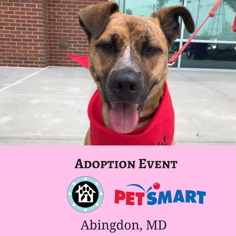 Operation Paws for Homes Events