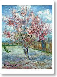 Flowering peach tree (Memory of Mauve)