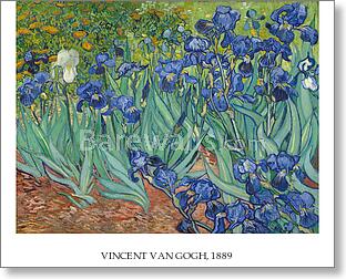 Irises