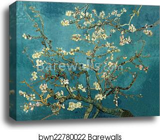 Almond Blossoms