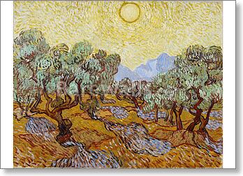 Olive Trees / Olive Trees with yellow sky and sun
