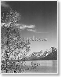 Grand Teton National Park, Wyoming. (vertical...