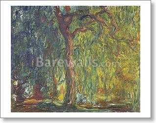 Weeping Willow