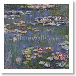 Water Lilies