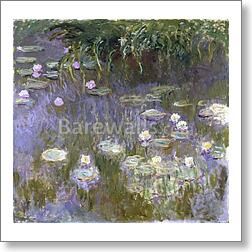 Water Lilies