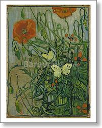 Butterflies and poppies