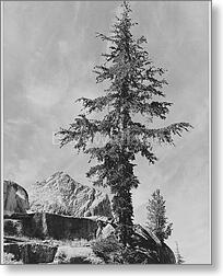 An Unnamed peak, Kings River Canyon (Proposed...
