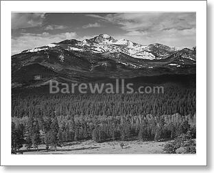 Trees in foreground, snow covered mountain in...