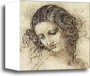 Study for the Head of Leda (c. 1505 - 1507)