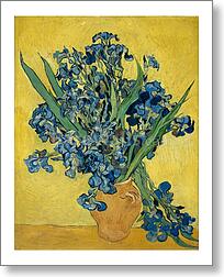 Irises