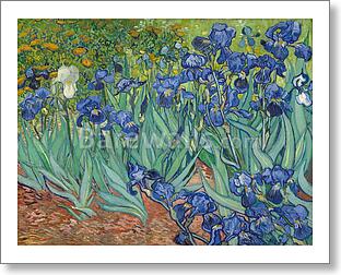 Irises