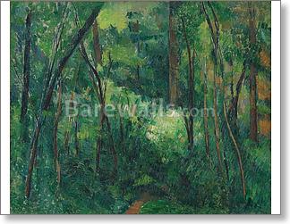 Interior of a forest