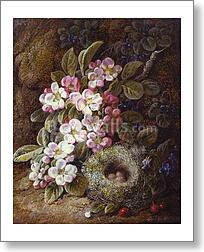 Flowers and Bird's Nest on a Mossy Bank