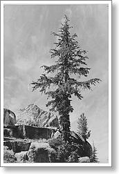 An Unnamed peak, Kings River Canyon (Proposed...
