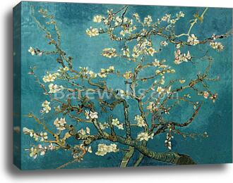 Almond Blossoms