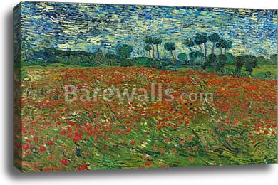 Field with Poppies / Poppy field